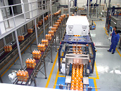 Panor�mica y Emplayadora