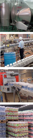 Fesan - Proceso